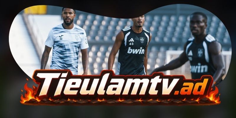 Gợi ý chốt kèo tổng hợp trận Maritimo vs Casa Pia AC ngày 08/08