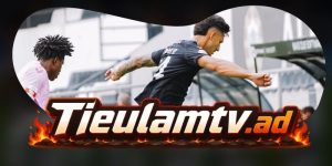 Nhận Định Viseu Vs Santa Clara 00h00 16/08